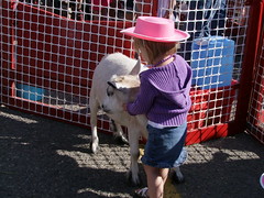 farm animals for kids 