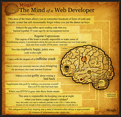 The mind of a web developer