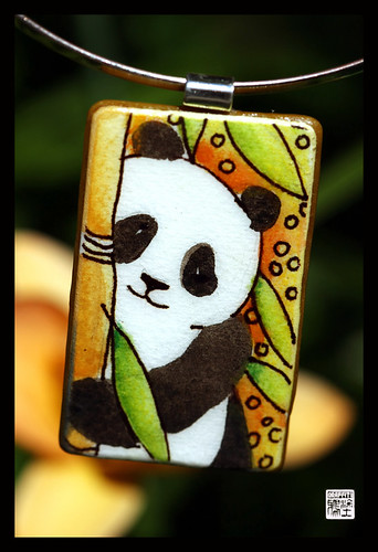 PROJECT PANDA , Pandarazzi contest winner today!!