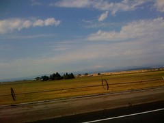 Photo titled Oregon roads