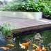 The Biopolis fish pond