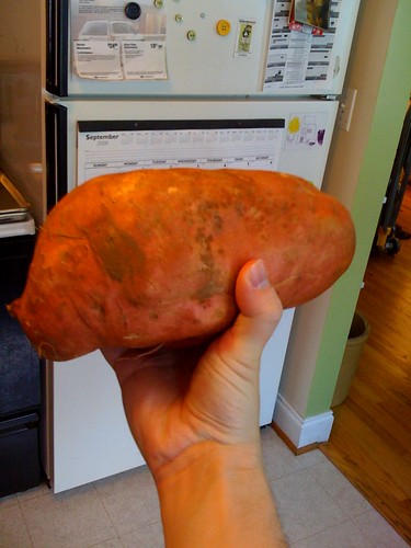 Biggest sweet potato EVER by jameswhitefanclub.