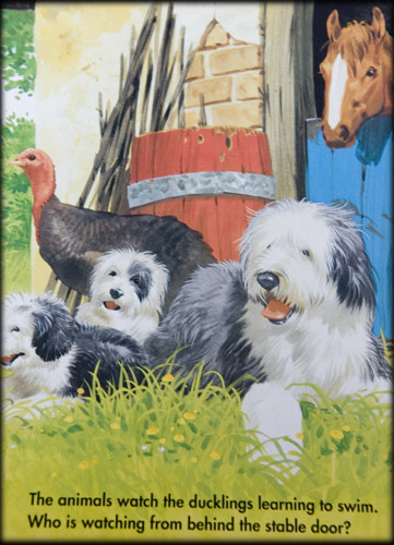 sheep-dogs-horse-childrens-book