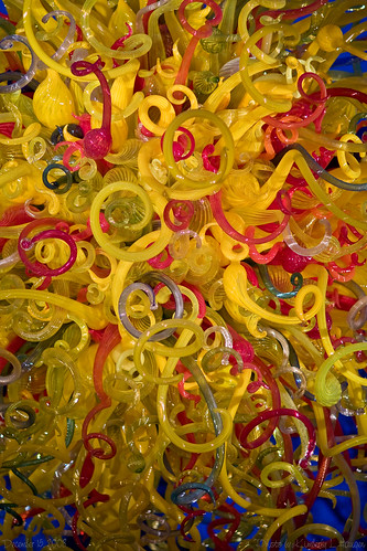 Chihuly_5705