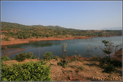 Backwaters of Neera Dam