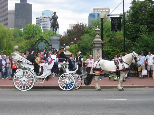 boston public garden - wedding
