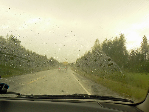 Sadekuuro maantiellä