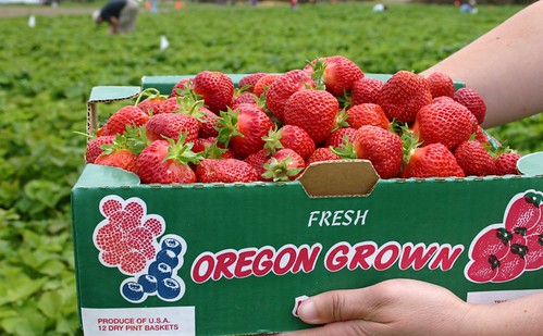 Fresh Oregon Grown