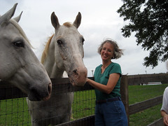 donna with horses