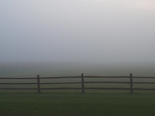Fence and Fog