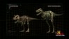 Nanotyrannus & Baby T-Rex