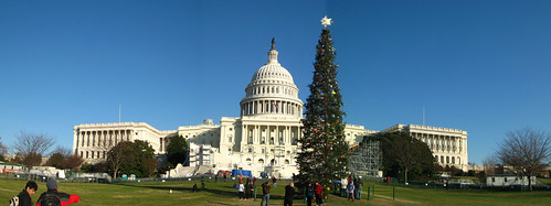 Christmas Tree Panorama: Capitol