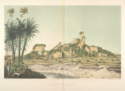 Java seine Gestalt, Pflanzendecke und innere Bauart 1857 (Junghuhn) c