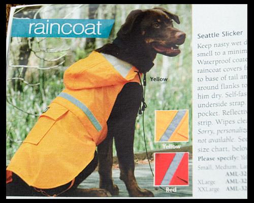 dog-raincoat-slicker