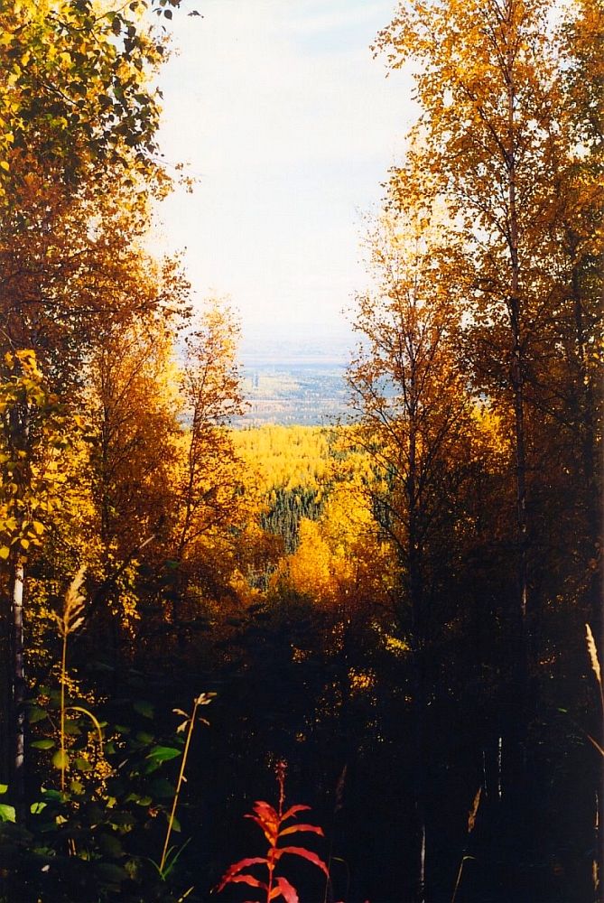 alaska-fall-colors