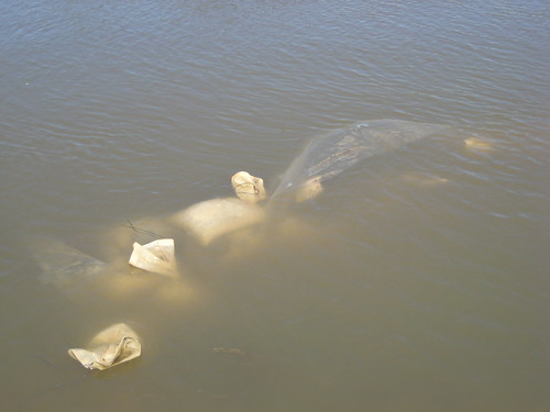 Submerged Sandbags