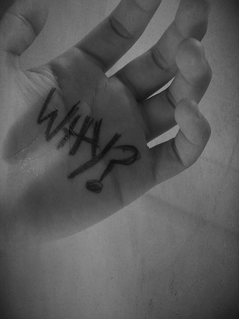 Why? by Eat a Crayon Photography