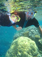 Snorkel_Outer Reef_PortDouglas (14) (Photo by Jose Manuel Segovia)