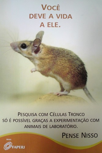 Animal Use in Research - Brazilian Campaign