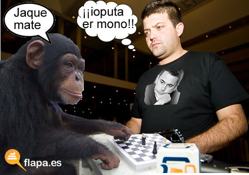 Jasp contra el mono
