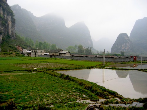 Yangshuo Rice Paddy