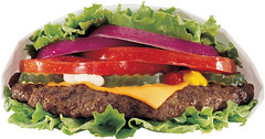The Low Carb Thickburger at Hardee's