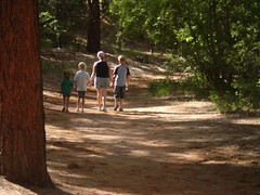 A family hike in the woods in Bandelier National Monument