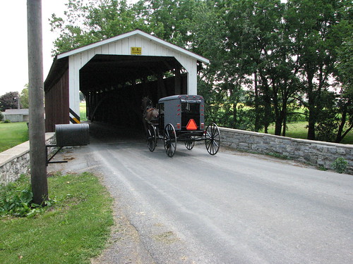 Buggy through covered bridge