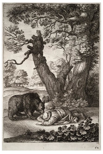09- El guardabosques y el oso