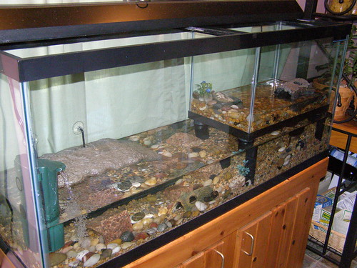 Full view of turtle condo