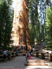 Parque Nacional Sequoia & Kings Canyon