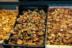 wild mushrooms (rovellons in middle)