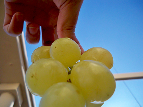 new-year-grapes-spain