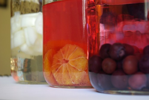 vodkas infused with blueberries, blood oranges, and cucumber by buildmakecraftbake