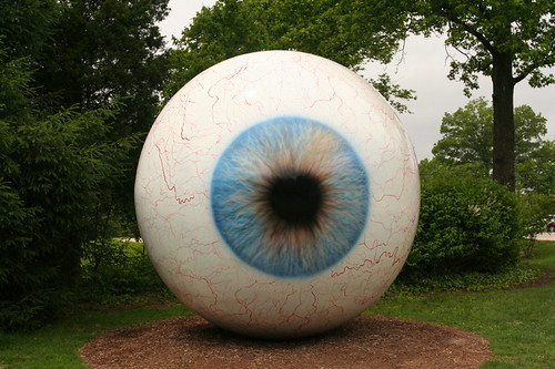 Eye by Tony Tasset
