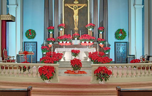 Basilica of Saint Louis, King of France (Old Cathedral), in Saint Louis, Missouri, USA - altar decorated for Christmas