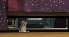 Sims 3 Pets 18