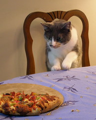 Pauline thinks she's a sneaky pizza eater.