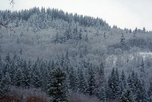snow_landscape_2