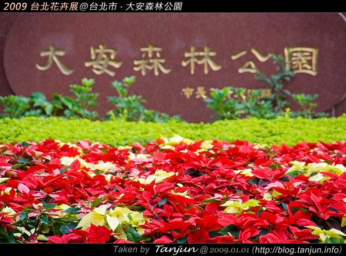 2009 台北花卉展@台北市．大安森林公園