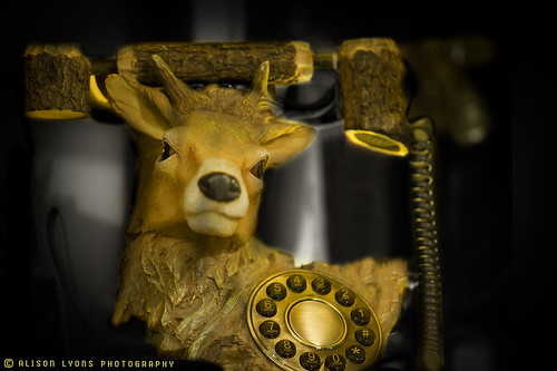 Telephone Deer? by alison lyons photography
