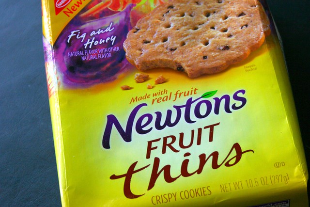 Newtons Fruit Thins {Taste Test Item}