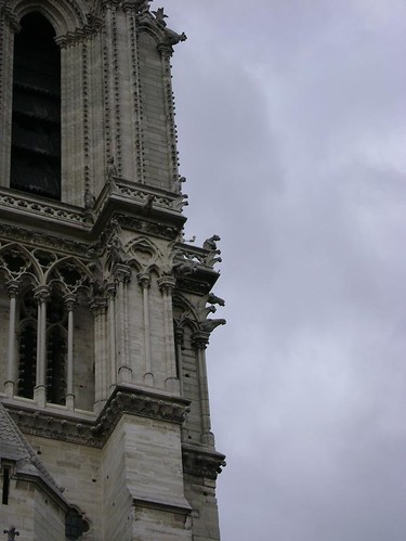As gargulas de Notre Dame