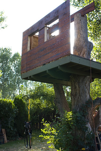 Tree House 5