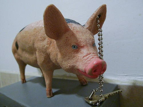 Bathroom Pig
