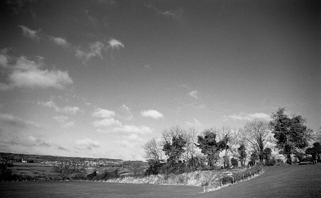 Illford Pan F+ 50 35mm in Rodinal 1+50 - 11 minutes