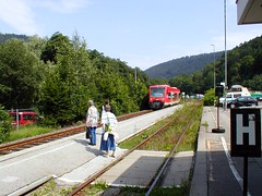 Train arriving, Bad Liebenzell station