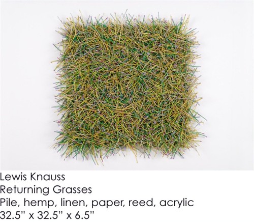 Lewis Knauss : Returning Grasses