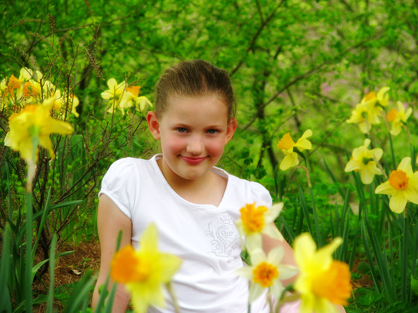 sophia's daffodils flickr