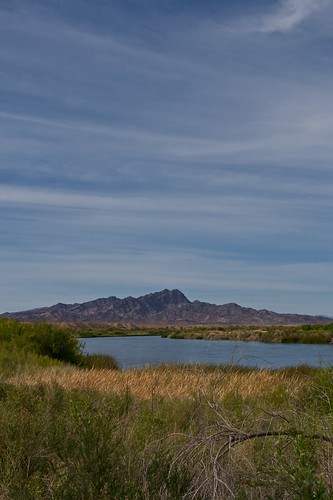 Colorado River, Campsite, California, Mojave Desert, US-95